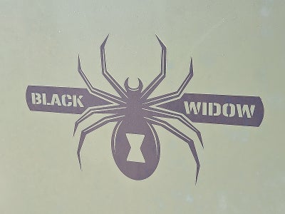 2020 RAM 1500 Black Widow