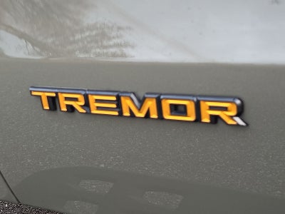 2025 Ford Expedition Tremor