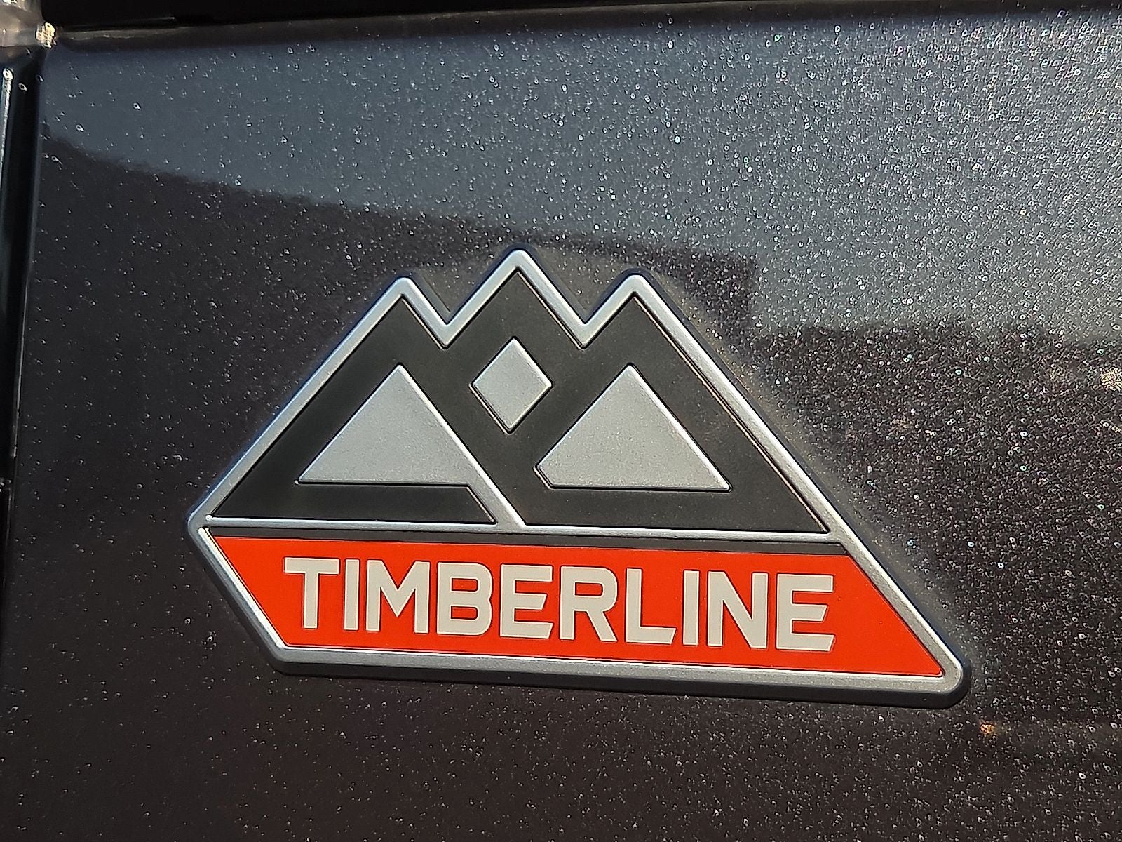 2022 Ford Expedition Timberline