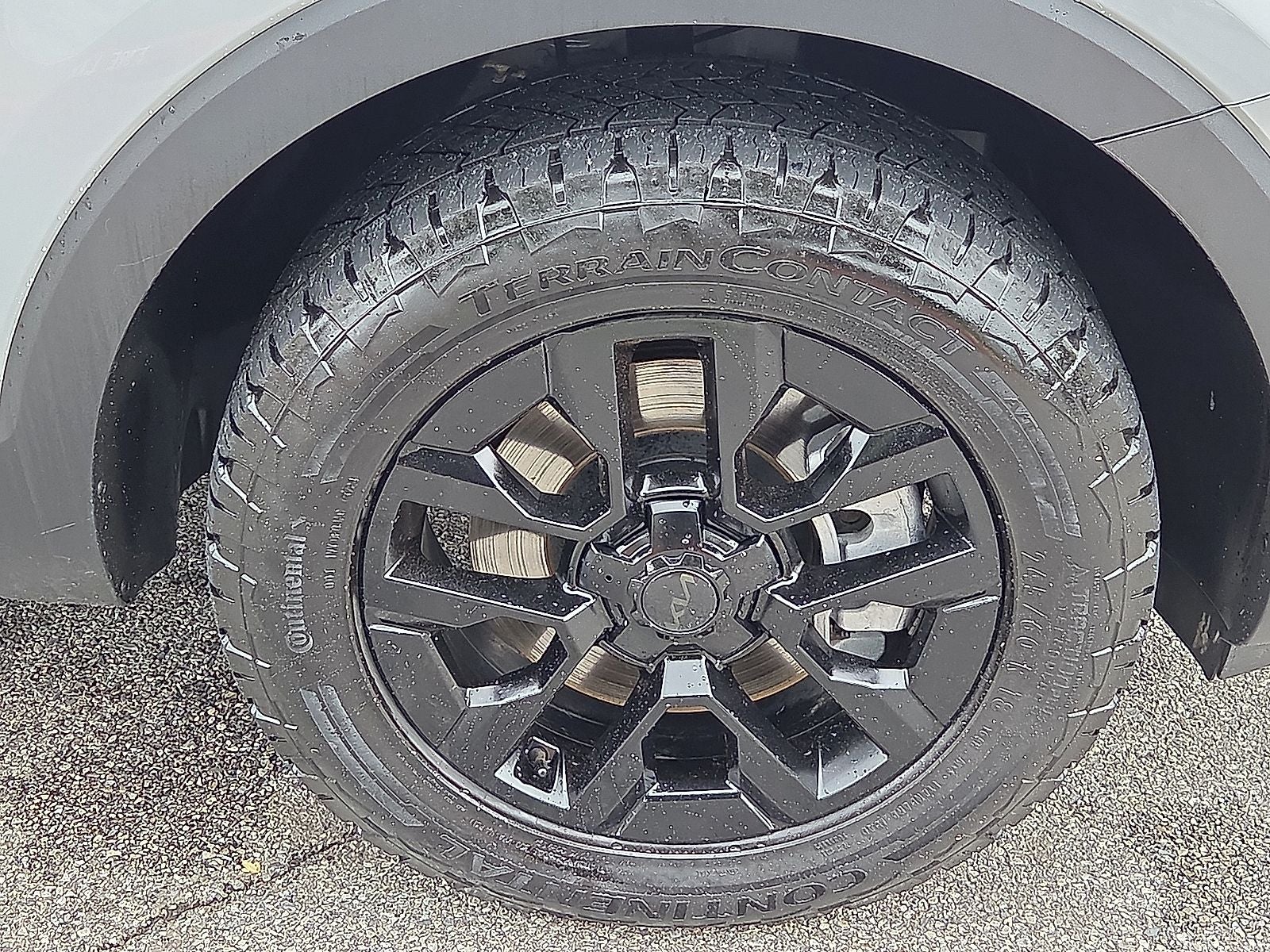 2025 Kia Telluride SX-Prestige X-Pro